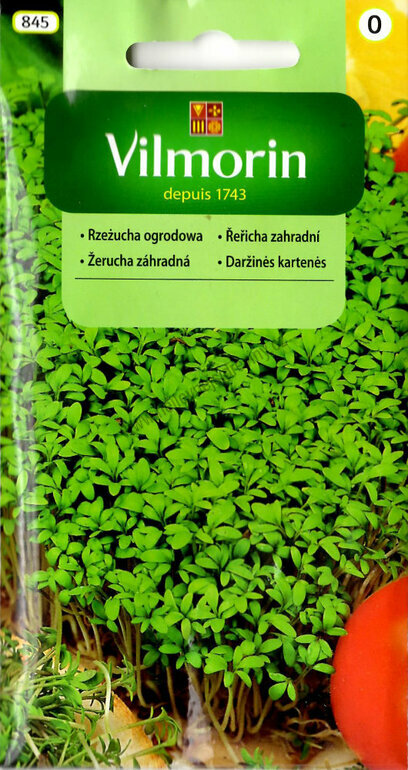 Vilmorin CLASSIC Řeřicha zahradní 10 g